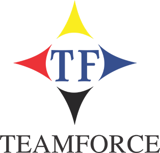 Team Force Group